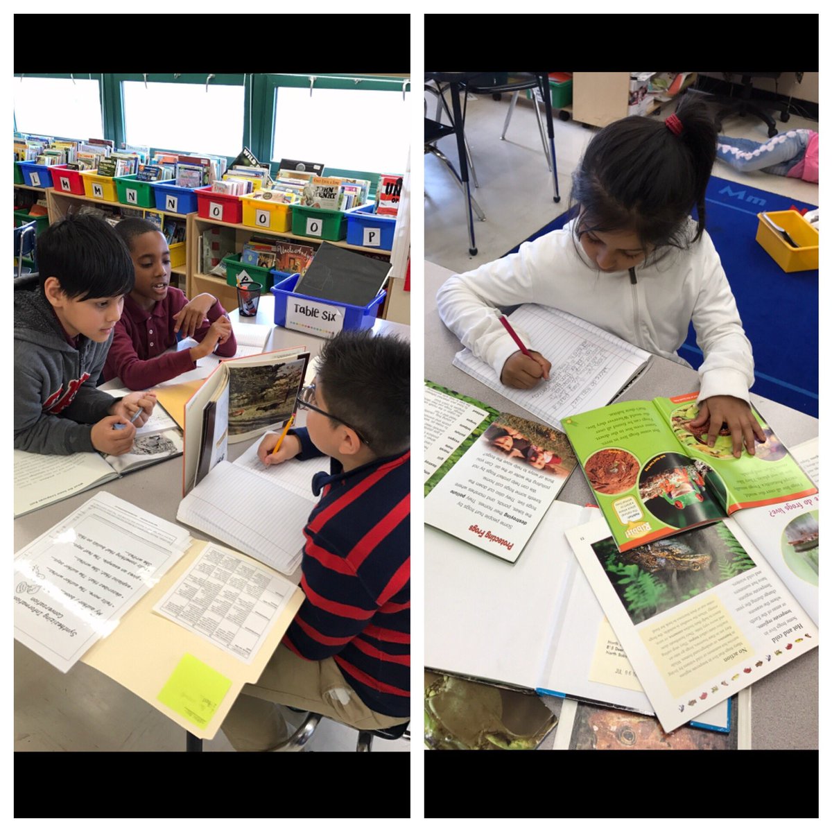 Students synthesized information by reading about the same subtopic across several texts. #76Q