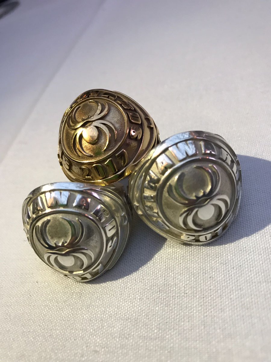 Hoppakee!!! Super trots op twee x zilver en goud op de <a href="/SpinAwards/">Stichting SpinAwards</a> voor Heineken Go Places met @CLOUDFAC7ORY en <a href="/tastysuperhero/">Superhero Cheesecake</a>