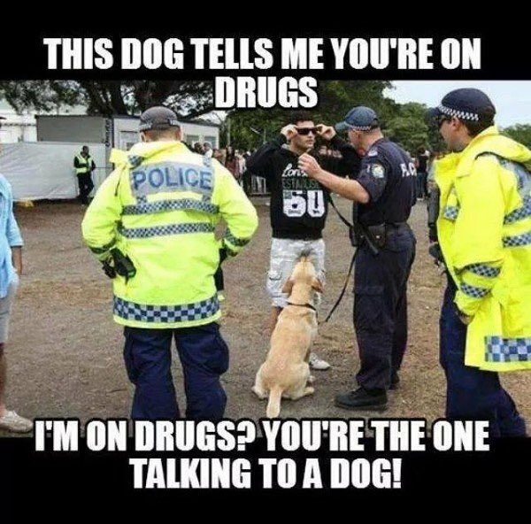 THCNetwork_Inc's tweet photo. 😂😂😂💨💨🔥🔥😎 #jokes #thcnetwork #cannabis https://t.co/I0ooPG85BW