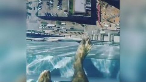 PhunkinOfficial's tweet photo. Glass Bottom Pool 43 Floors High Has An Insane View Below
https://t.co/Fxxm8bjuxp https://t.co/QOu9cOOYVQ