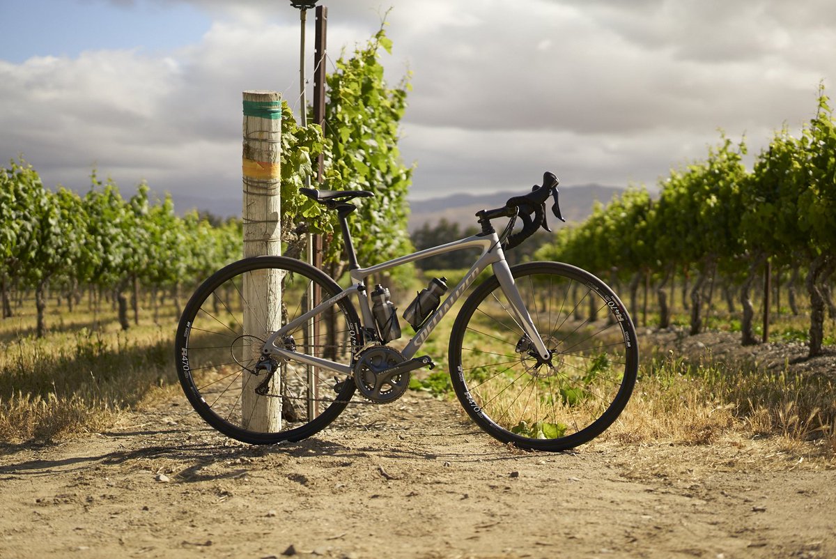 specializedwmn's tweet photo. Comfort that doesn't come at the expense of performance. Find your home on a Ruby → https://t.co/1HNLvWH3J0 #smootherisfaster https://t.co/p9j1ShLwbs