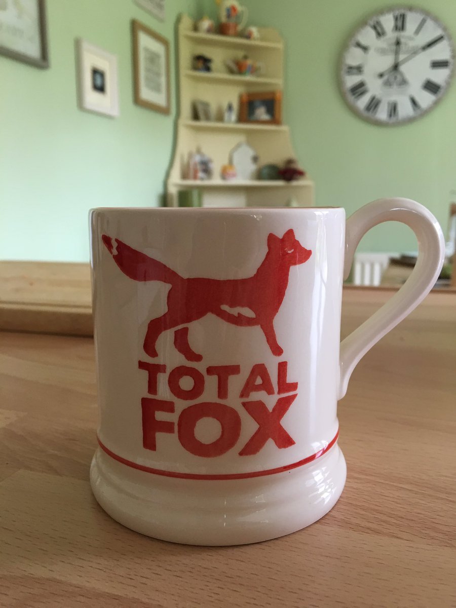 katyknowskungfu's tweet photo. got this new mug for #nationalteaday #totalfox https://t.co/J3H6KCdc4I