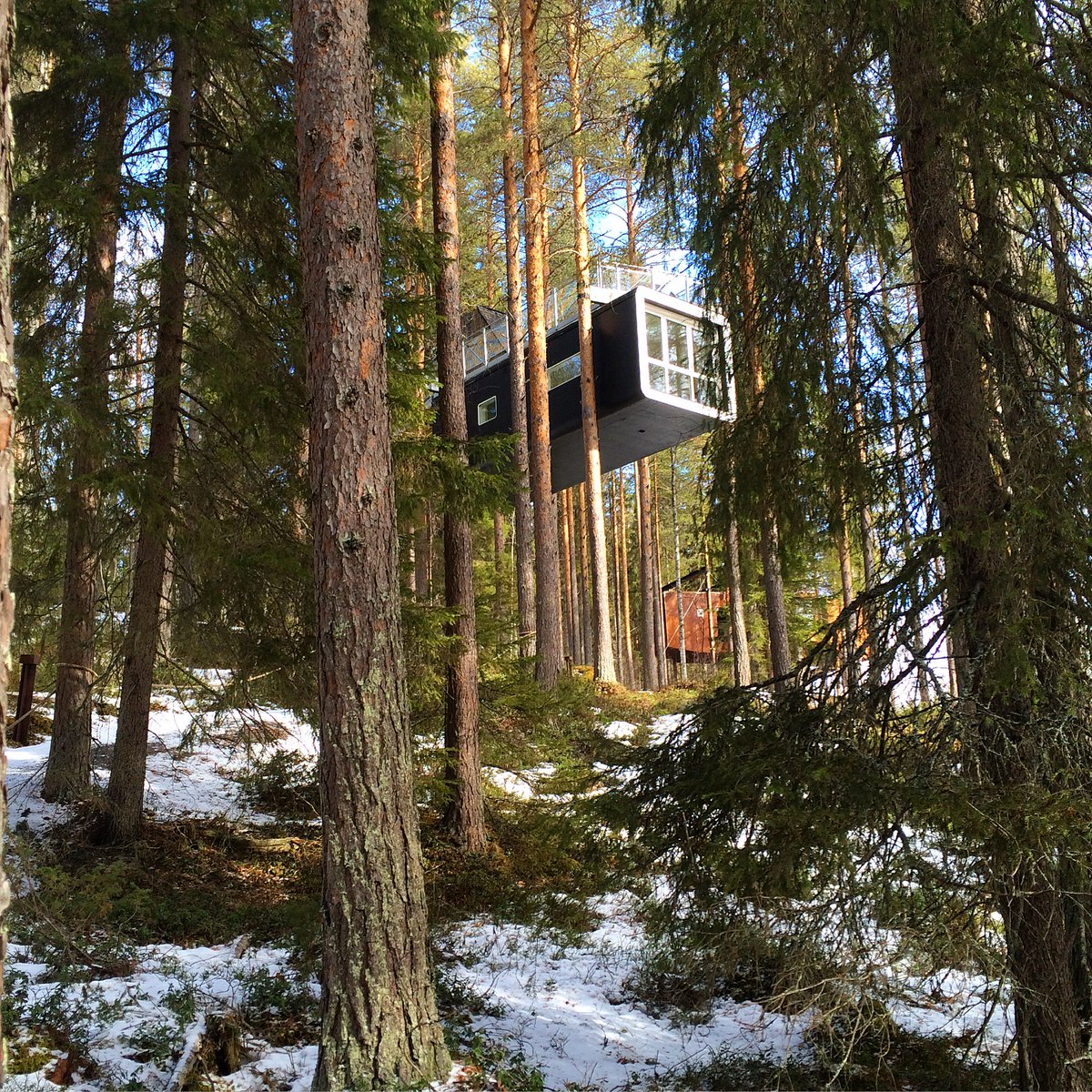 Chris Russell tweet media