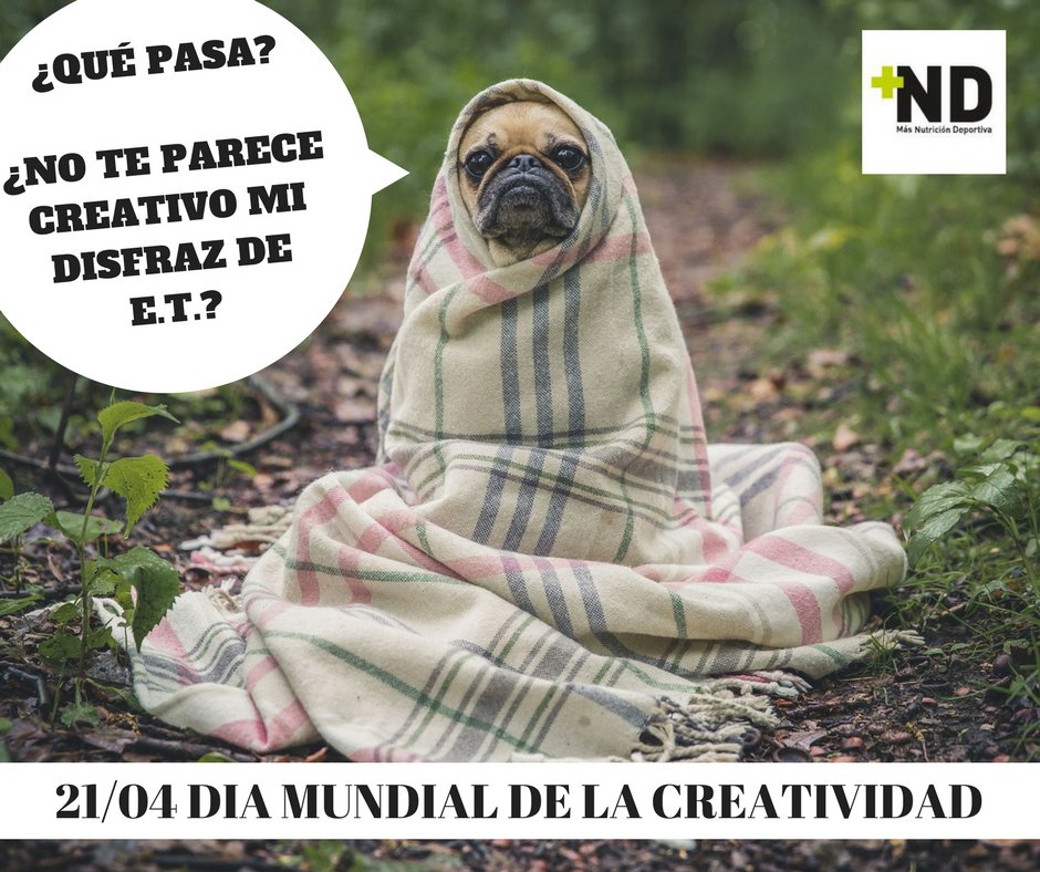 Hoy celebramos el día #díamundialdelacreatividad así que había que inventarse algo :)