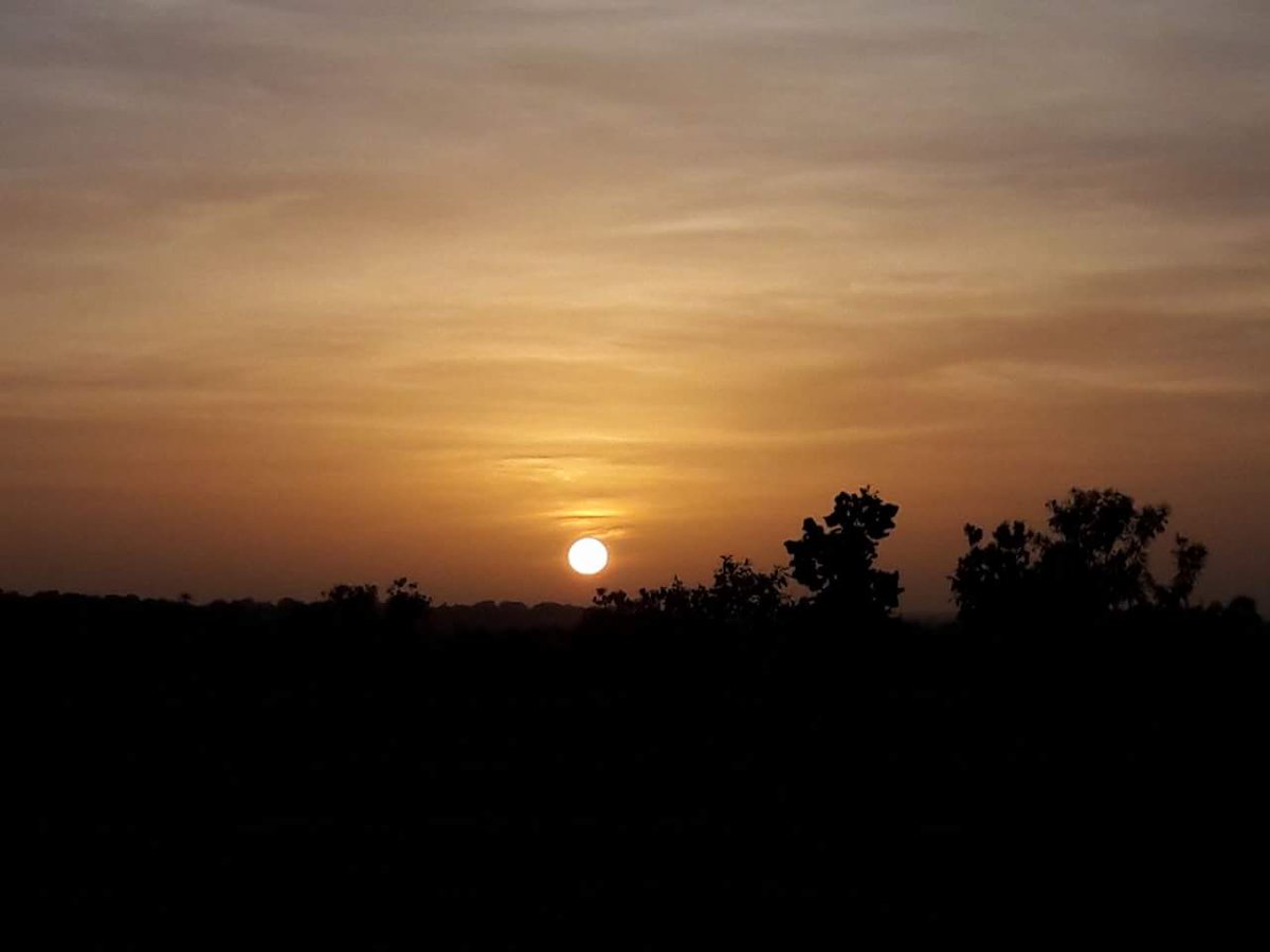 aluizionassi's tweet image. Obrigado Deus Pai generoso por mais um dia que começa!
Bom dia à todos!!!

#Roraima_SemIgual 
#Fazenda_SantoAntonio