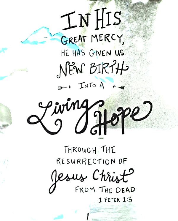 St Luke's Church tweet media