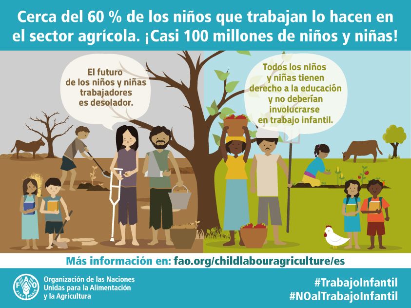 FAOenEspanol's tweet photo. Para erradicar el hambre, también hay que erradicar el trabajo infantil: https://t.co/MN76VKa4SN #NoAlTrabajoInfantil #HambreCero https://t.co/GpDMnLfSne