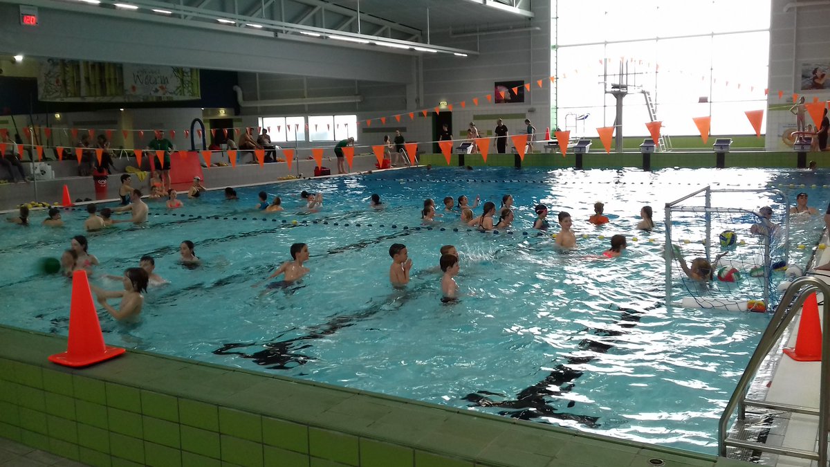 SportService038's tweet photo. #Koningsspelen in zwembad @optisportzwolle groot succes met dank aan @44_zv, @swol1894, @Zwolle_CSE en @LandstedeSB https://t.co/ioQn0UbIWj