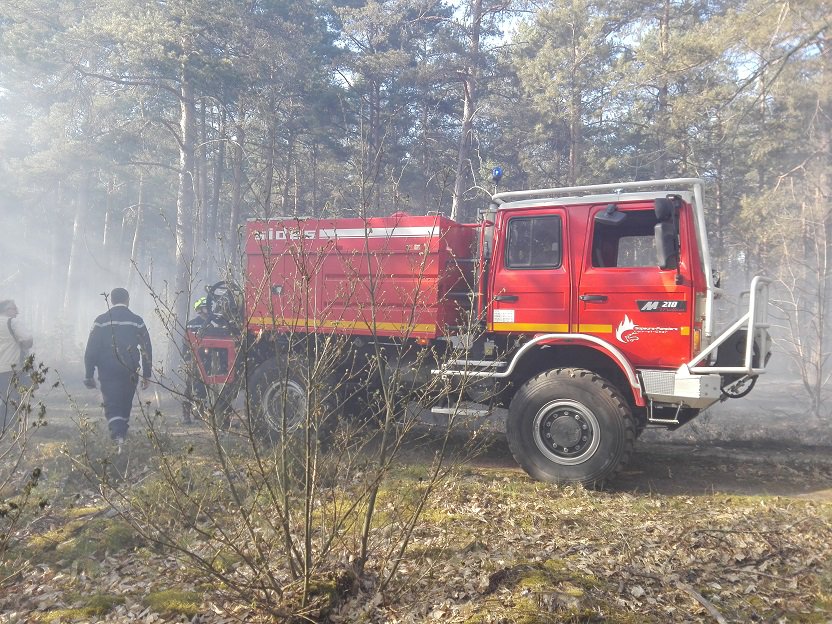 larep_fr's tweet photo. #Faitdivers - Un important #feu de forêt route de Menestreau, sur la commune de #Sennely https://t.co/G8JMfILXnN #incendie https://t.co/gEWhp7Wo8B