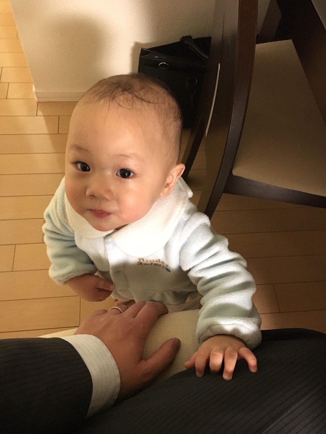 تويتر 若月圭祐 على تويتر はる坊が一歳になりました あいかわらず髪の毛生えないね わら T Co Ixgddwdxvg