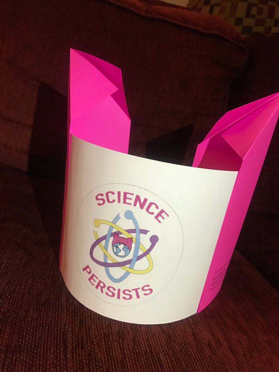 pinkpersist's tweet photo. We spent hours making 500 #MarchForScience hats for you, New York! See you Saturday! #resist #sciencenotsilence #sciencepersists #pussyhat https://t.co/HPnIqv1xYB