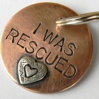 FriendsOfDuplin's tweet photo. HOORAY🎉
🌷TULIP 🌷 WAS #RESCUED💔
#PUPPY #DOGSOFTWITTER
#ILM #NC🇺🇸
#DUPLIN #DUPLINAC 
➡️https://t.co/kjmK4T0IB8 https://t.co/CaoWkgxDNL