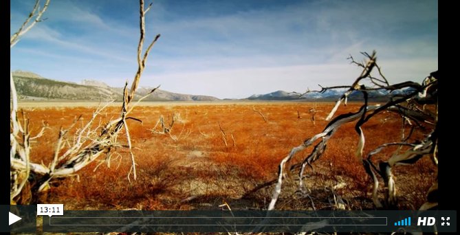DAIGlobal's tweet photo. On #EarthDay, #climatechange remains a growing threat…but significant progress has been made https://t.co/Nya01cgjIT #climateliteracy https://t.co/PhOwGmSnuD