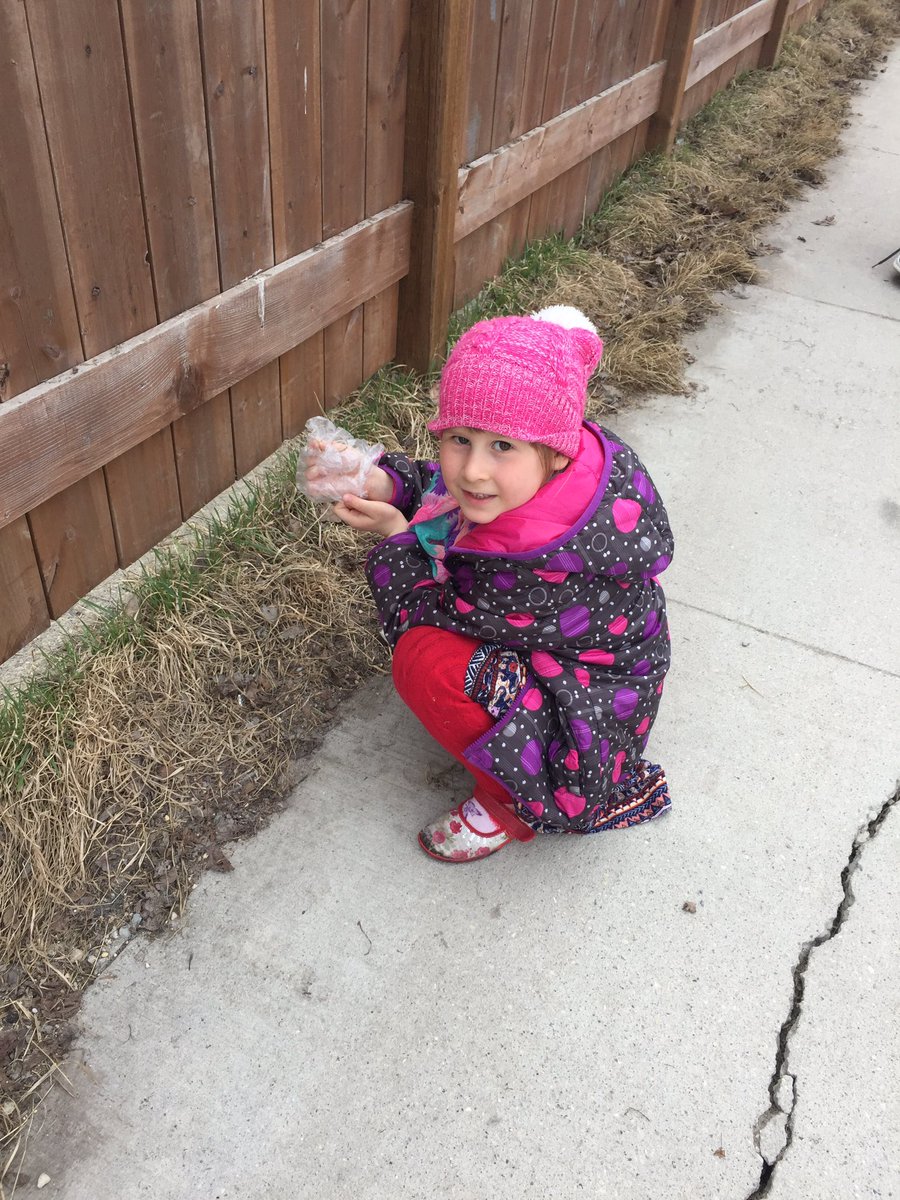 mrsKroom8's tweet photo. Cleaning up our school grounds for Earth Day. 🌍🌍🌍#brclearns #room8 #forstchat #secondchat https://t.co/BFo4mckKVv