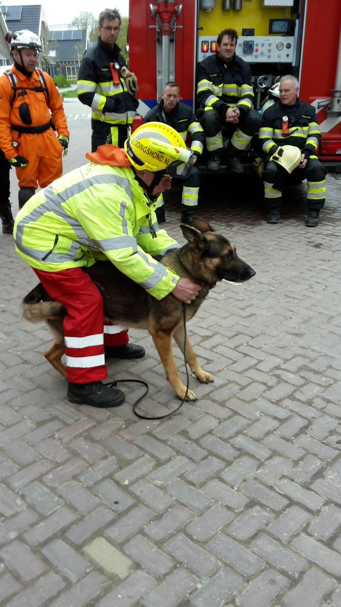STH_Noord's tweet photo. Nu krijgen @STH_Noord en @brandweerlwd uitleg en demo over de inzet met een reddingshond https://t.co/MY7FlvHx9x