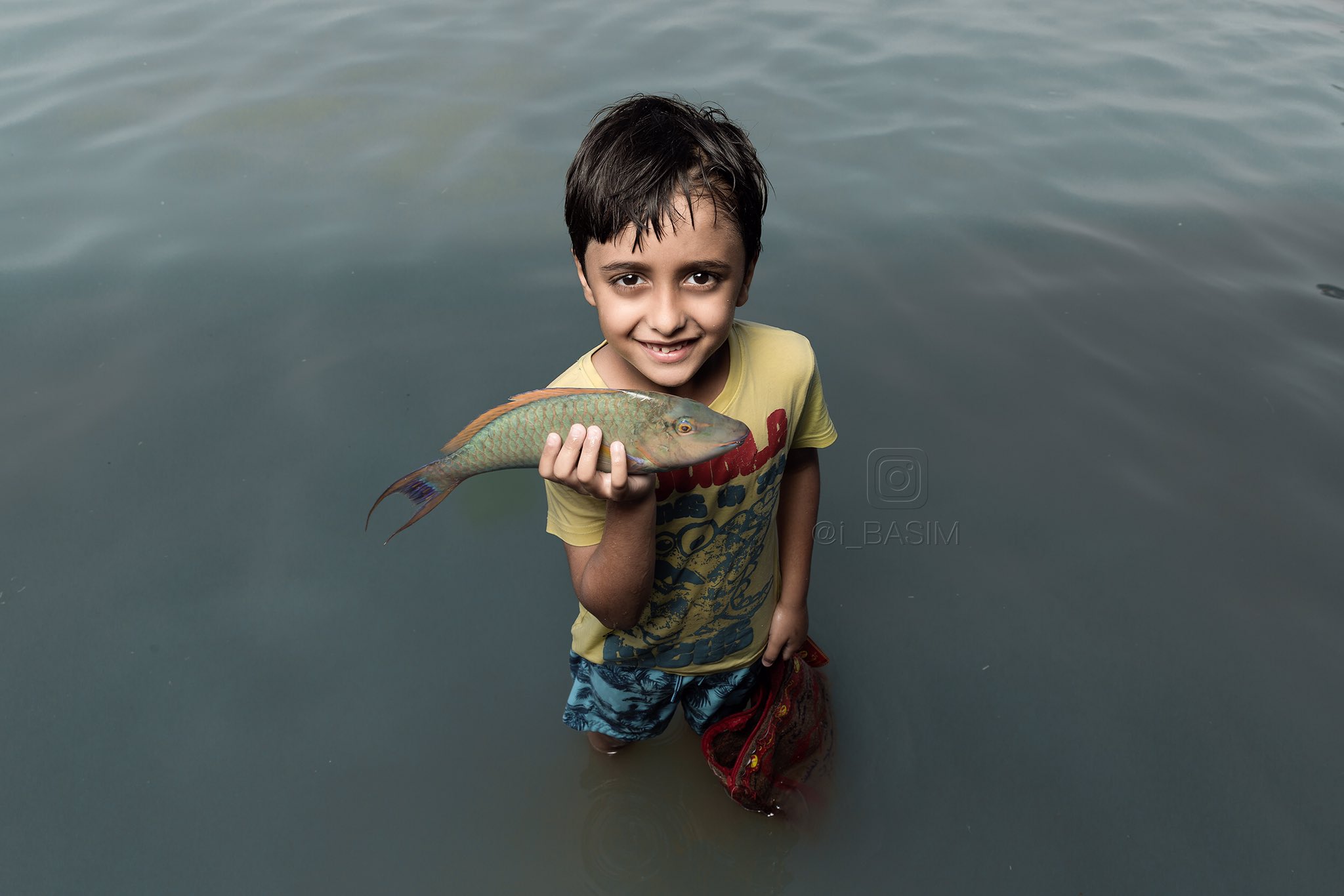 Basim Al-Hamali on Twitter: "من مهرجان #الحريد بجزيرة فرسان…