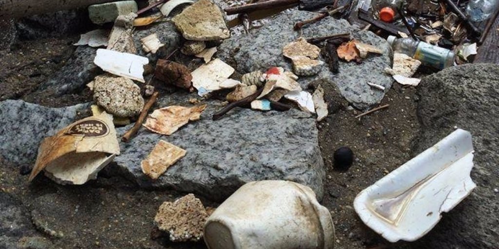 Help take care of the Earth tomorrow at the 9th annual Rock Creek Extreme Cleanup. Sign up here: get.co/2pJDMHD