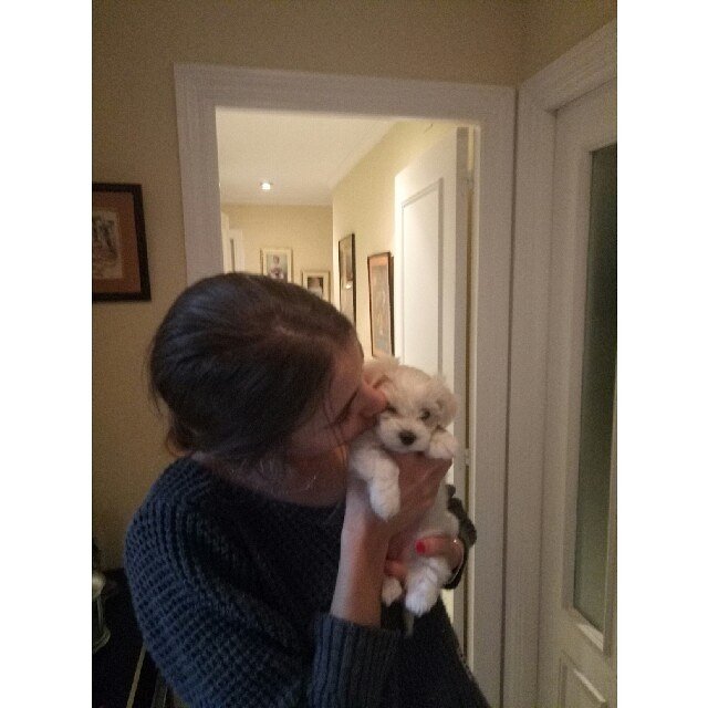 marinabernabe's tweet photo. Ti amo💗 https://t.co/Qj2giBsinr