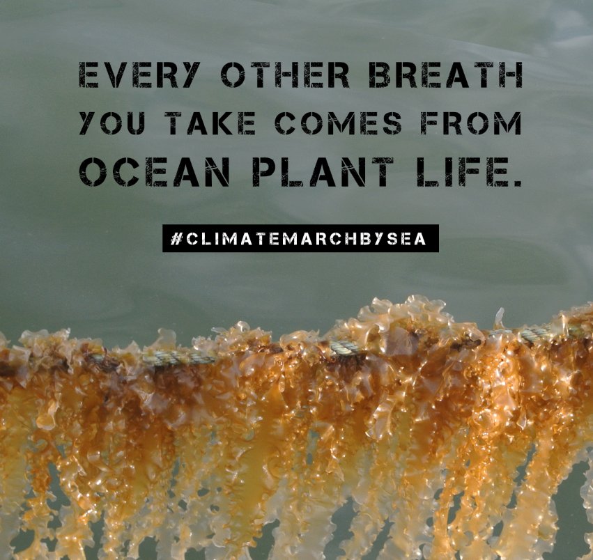oceana's tweet photo. Every other breath you take comes from ocean plant life https://t.co/TB38fzeX4l #ClimateMarchbySea @GreenWaveOrg https://t.co/JdzQkYe7FQ