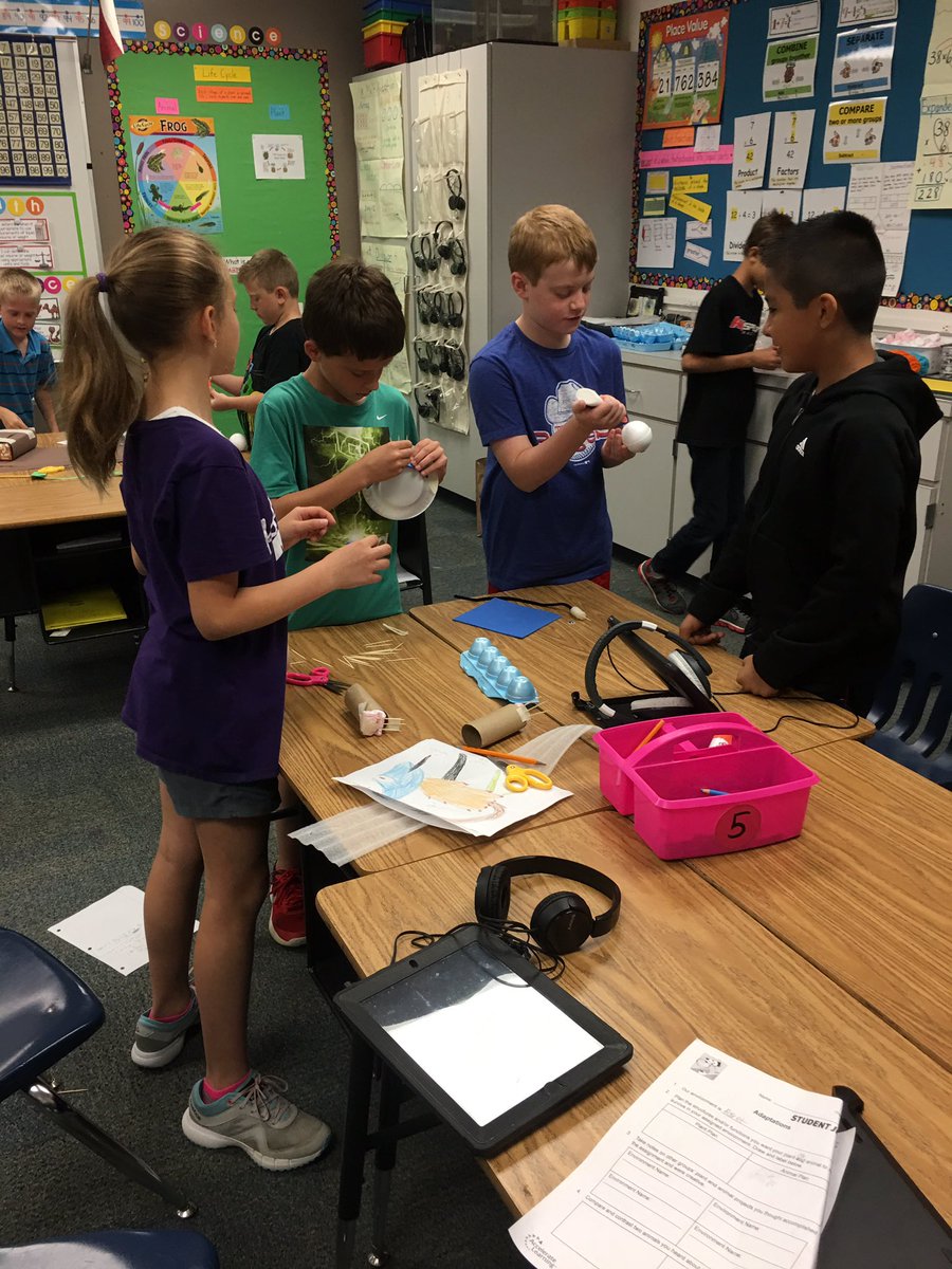 CANWebb1's tweet photo. Designing animals that can live in particular environments. @canSTEM https://t.co/BgFO12dYA3