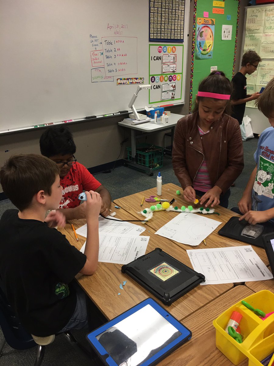 CANWebb1's tweet photo. Designing animals that can live in particular environments. @canSTEM https://t.co/BgFO12dYA3