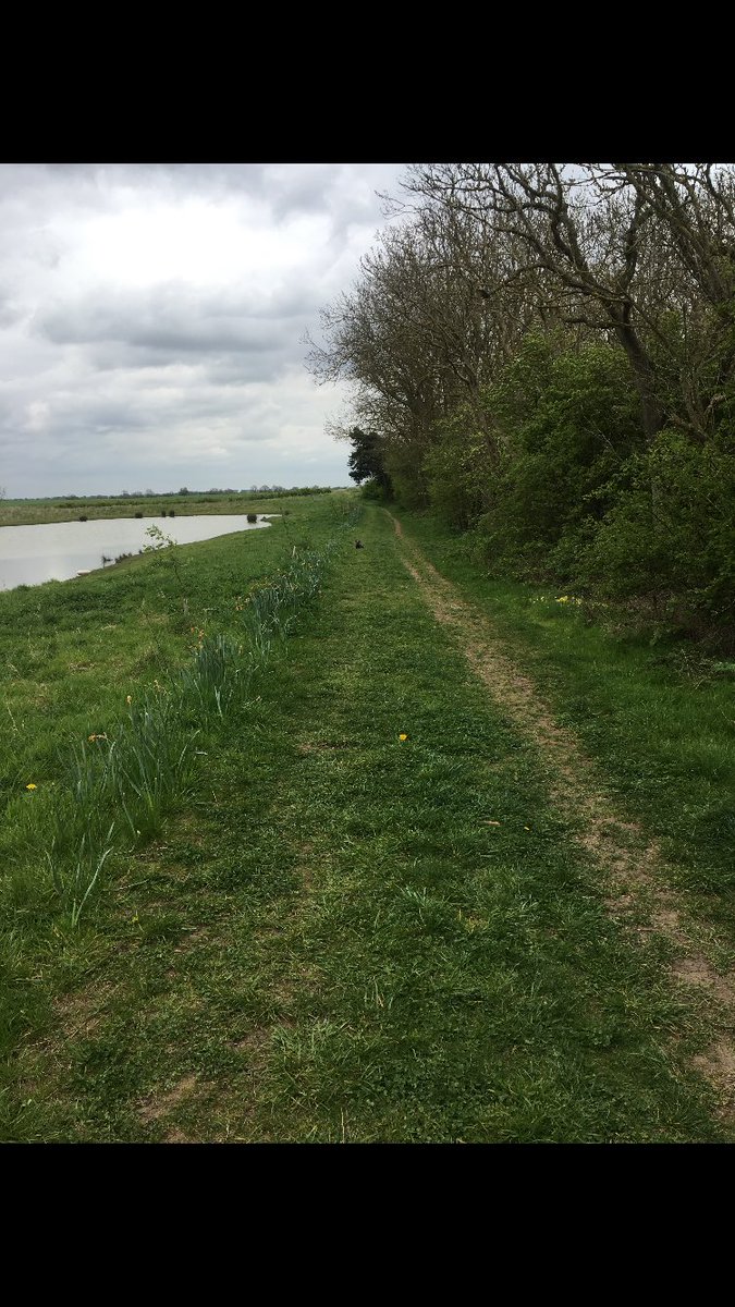 MichaelJohnPage's tweet photo. Can you zoom in and see the blue dot on the grass. That's Fifi deciding she's not going home. 
#fifiwontgohome #fifisincharge #frenchielove https://t.co/UzwMUfUGBe