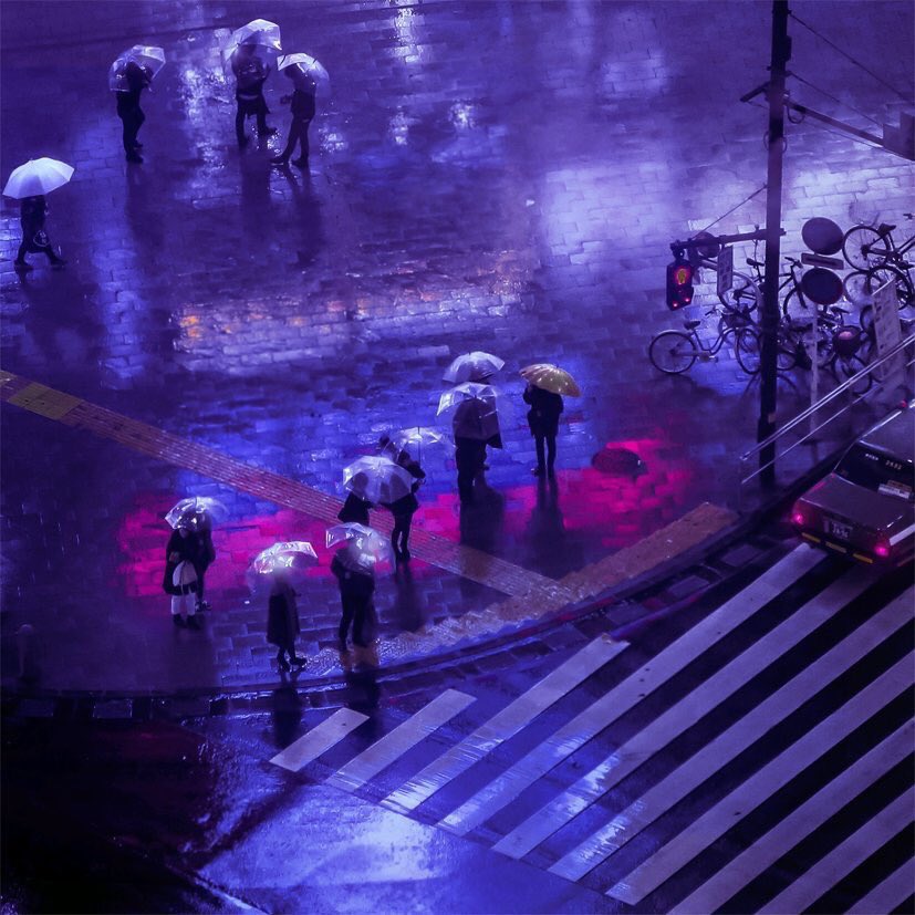 Liam Wong على تويتر When There S Blood In The Sky Red And Blue Purple Purple Rain Pertains To The End Of The World Being With The One You Love Prince