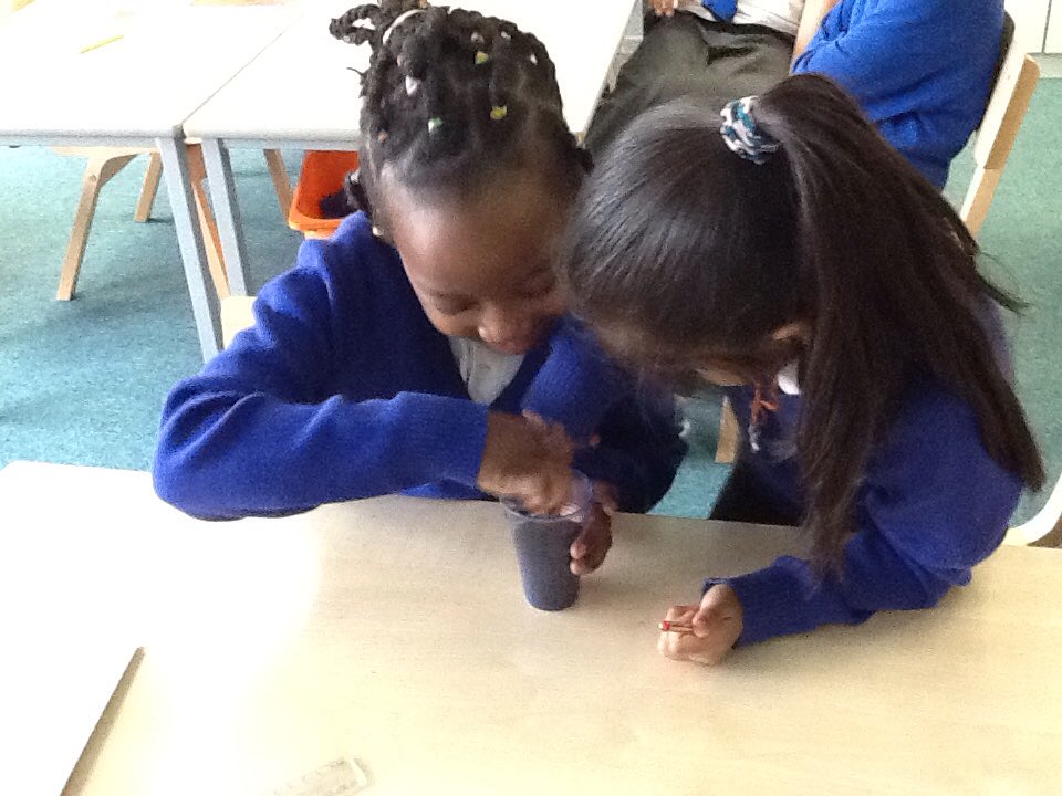 Oak tree class are really enjoying investigating and discovering how plants grow.