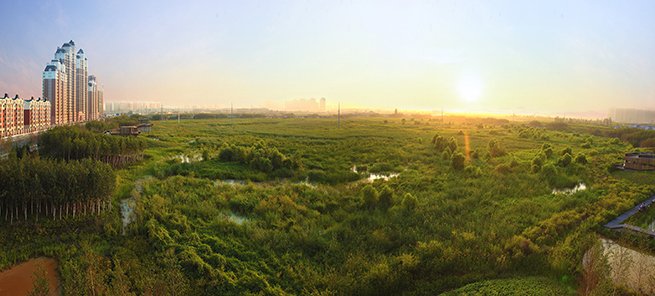 Cities need as much green infrastructure as possible, given how dense and impermeable they tend to be. bit.ly/2bDP72w