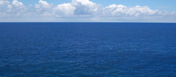 TheRealVBalboa's tweet photo. The path lead to something I don't believe anyone's seen before. This is an incredible discovery! #setsail226 https://t.co/NPIRTatXKx