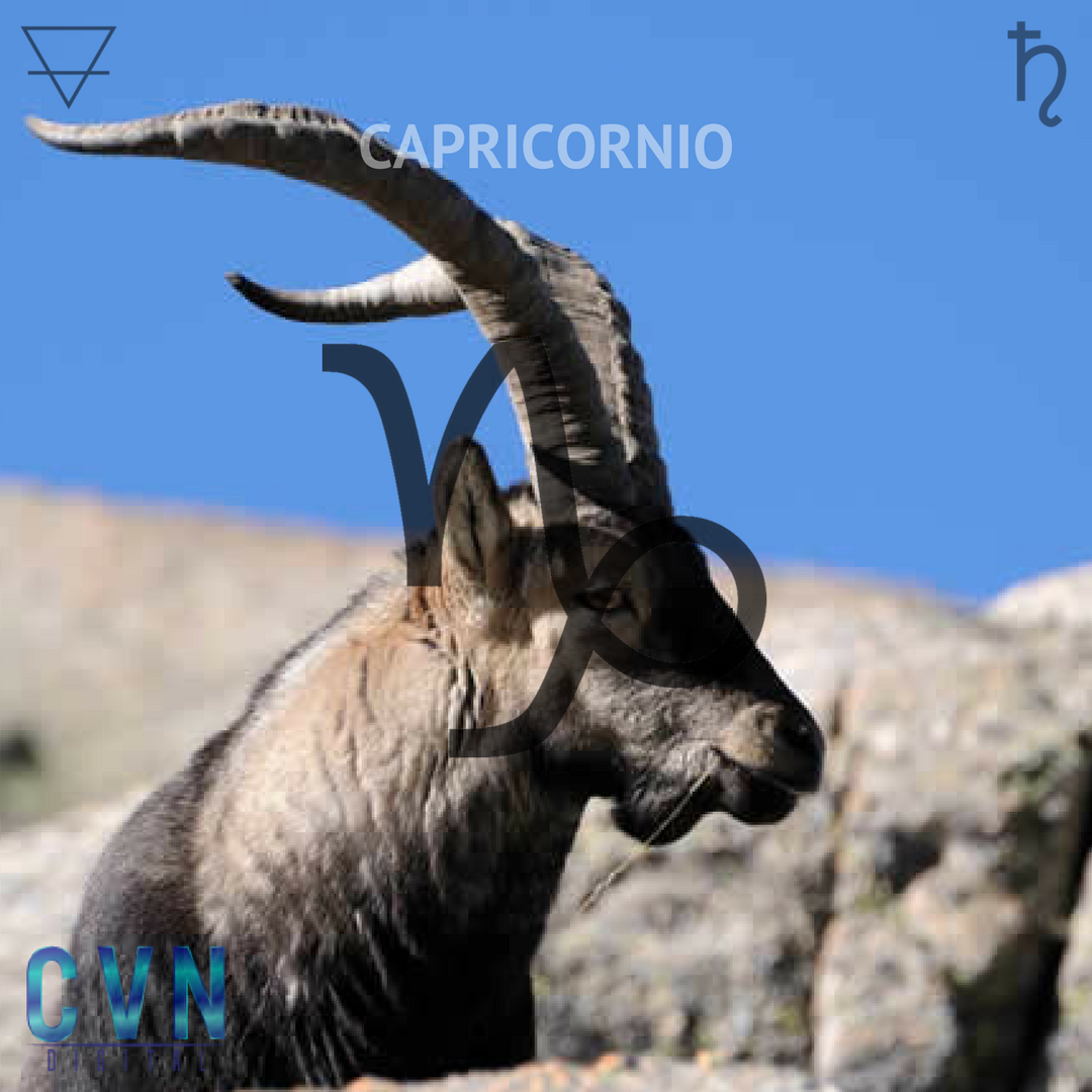 Alex_Abreu07's tweet photo. #Capricornio #Tierra #AlArkan #Astrología #AstologíaCVN #Horoscopo

@cvndigital 

#BuenViernes https://t.co/mk8qVU2k4W