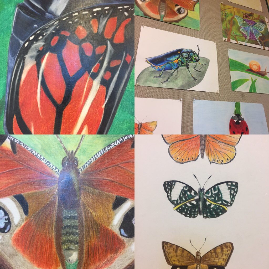 lcschu's tweet photo. Spring has sprung in the art department @SalineHS! Drawing &amp; Painting 2 students explore color, insects and creativity #SHSLearn #salineart https://t.co/EKMTBd26gh