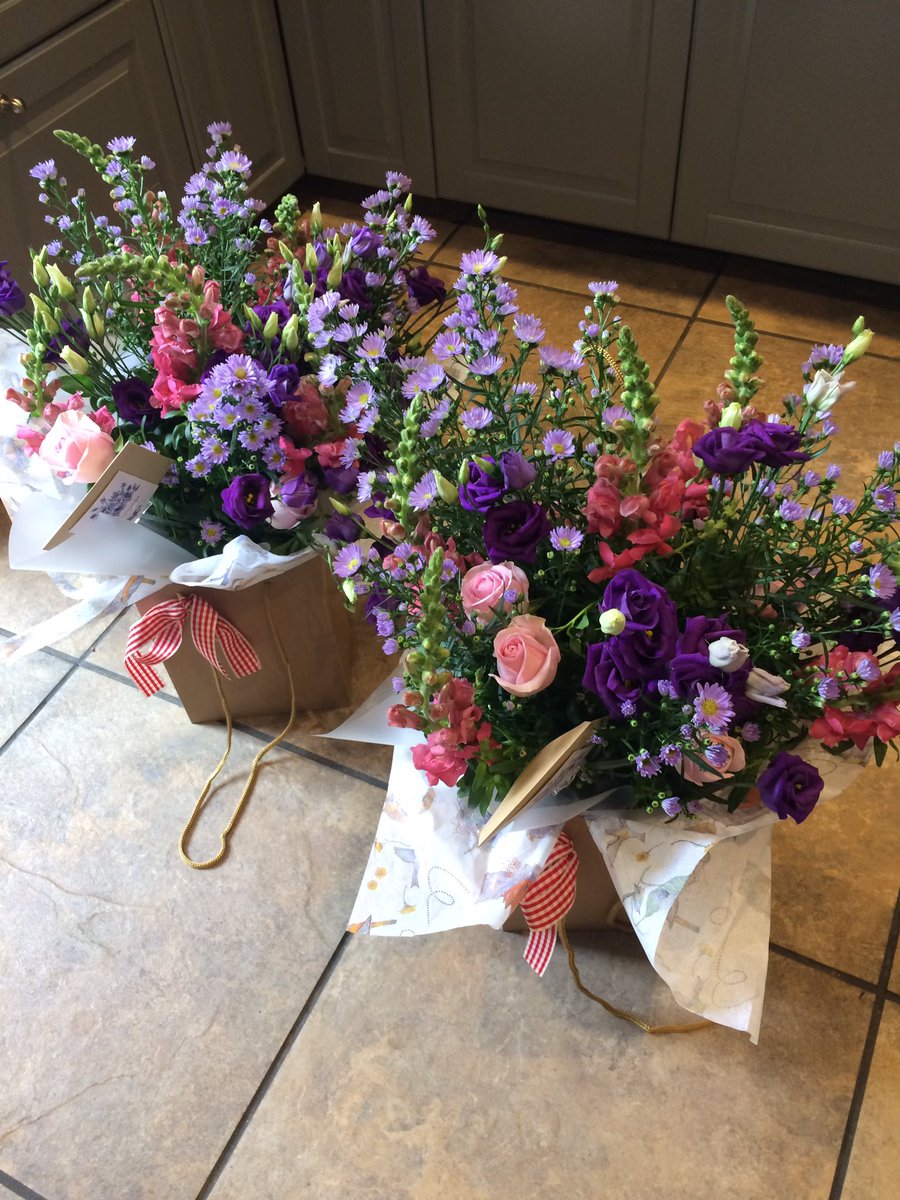 Today's beauties 🌺😻