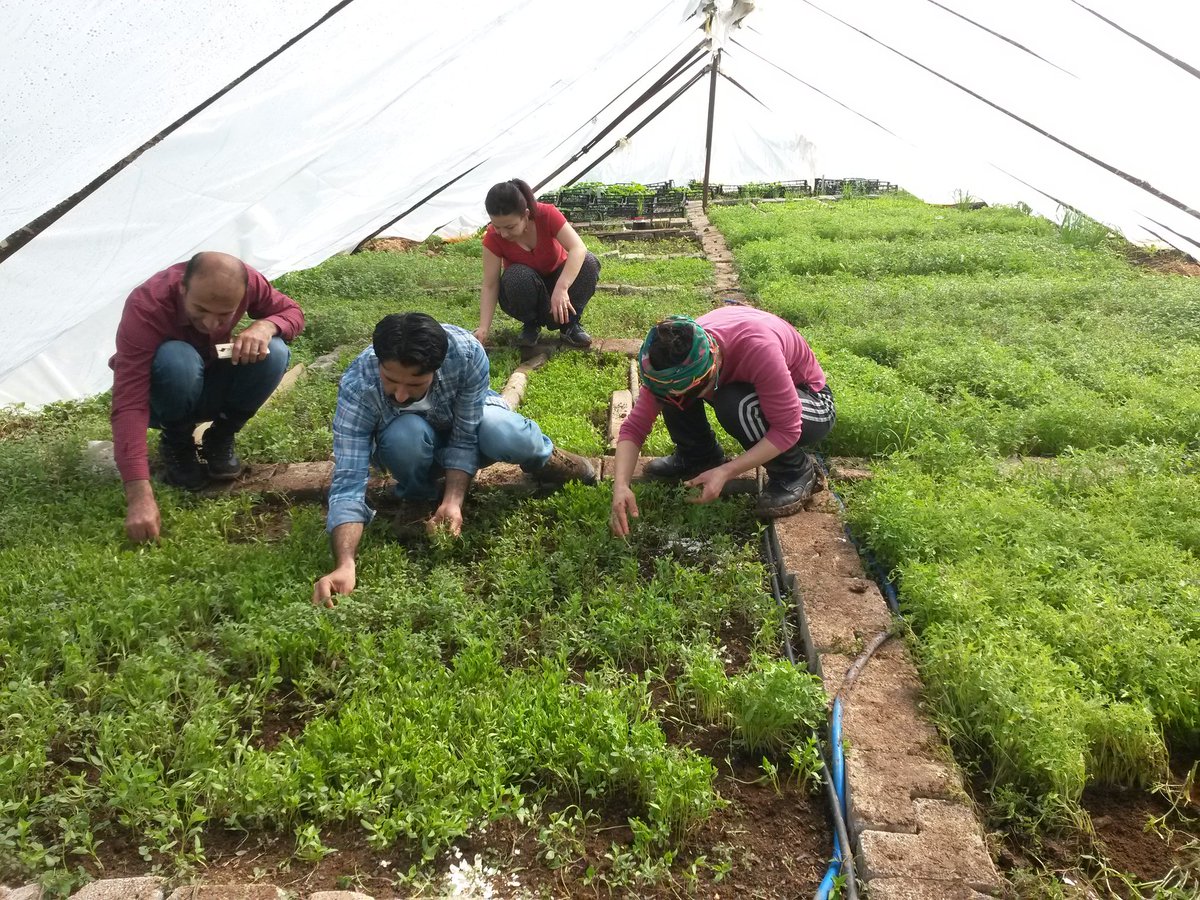 DUYURU
26 Nisan Çarşamba günü Yerel fidelerini ücretsiz dağıtımını gerçekleştireceğiz. Fide talebinde bulunanlar 05304261020 EKOLOJİ DERNEĞİ