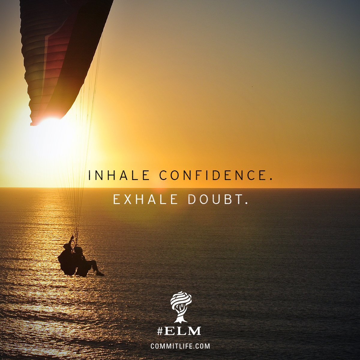 commitlife's tweet image. 