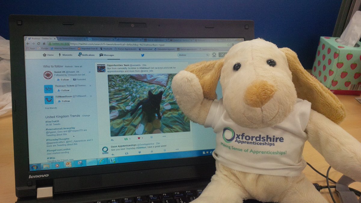 ApprenticeShep's tweet image. It's been a blast but it's time for me to hang up the lead! Follow @OxonApprentice for #Apprenticeships &amp;amp; @oxmeinfo for #oxmekitty latest! 🐕