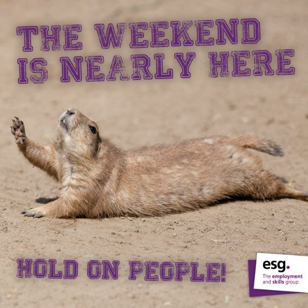 BizBuzzFlitwick's tweet image. #NearlyTheWeekend