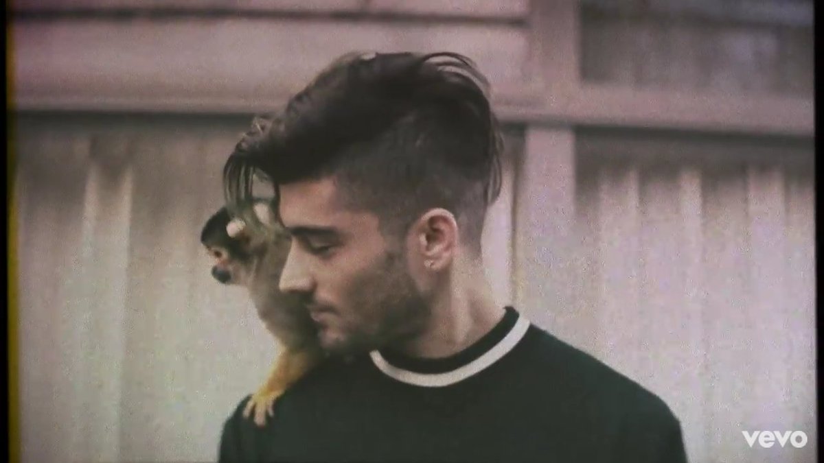starccrossed's tweet photo. Это самые прекрасные фотографии которые я когда либо видела в жизни
#ZaynMalik #onedirectoin https://t.co/icLAIWwMYm
