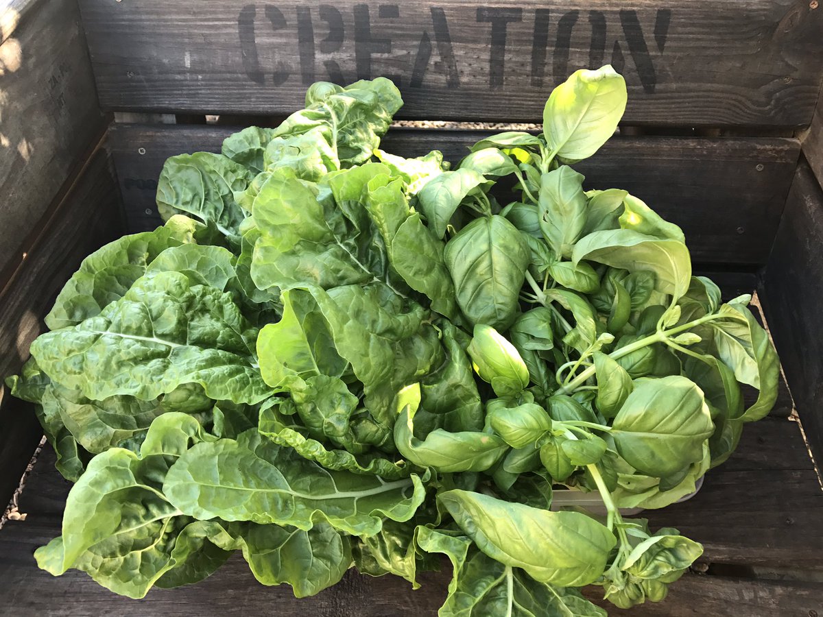 creationwines's tweet image. From #PebblesProject garden baked by #CreationChefs some of the ECD and ASC children enjoying afternoon tea. #GardenForFuture #FutureChefs