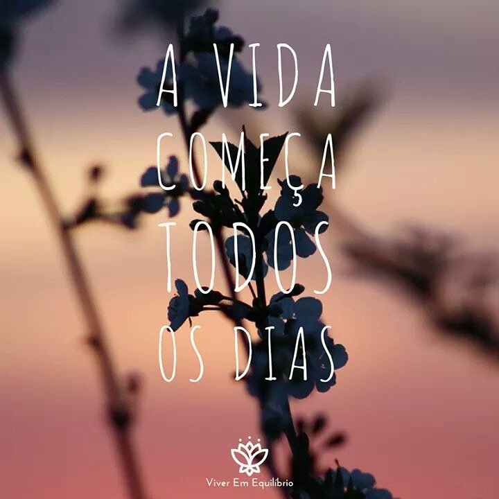 Frases Sobre Vida Equilibrada Busque A Paz Interior