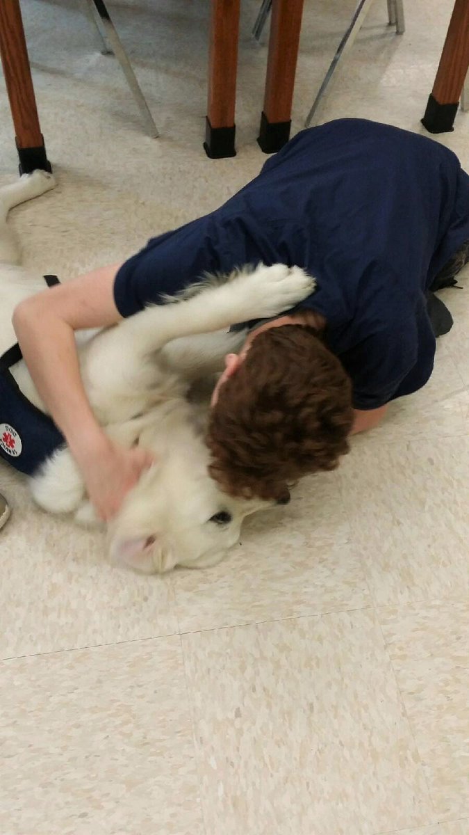 GivingRetriever's tweet photo. Just another day of school!  @pnwboces https://t.co/BiC6pZiqqH