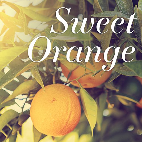 AAmenities's tweet photo. Cypress has a sedative properties.Lavender reduces stress.Sweet Orange aids in relieving anxiety.Neroli relieves insomnia.#sweetdreams https://t.co/OY3byNwiDE