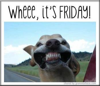 Have a good day everyone!! #yeg #friday #happy
