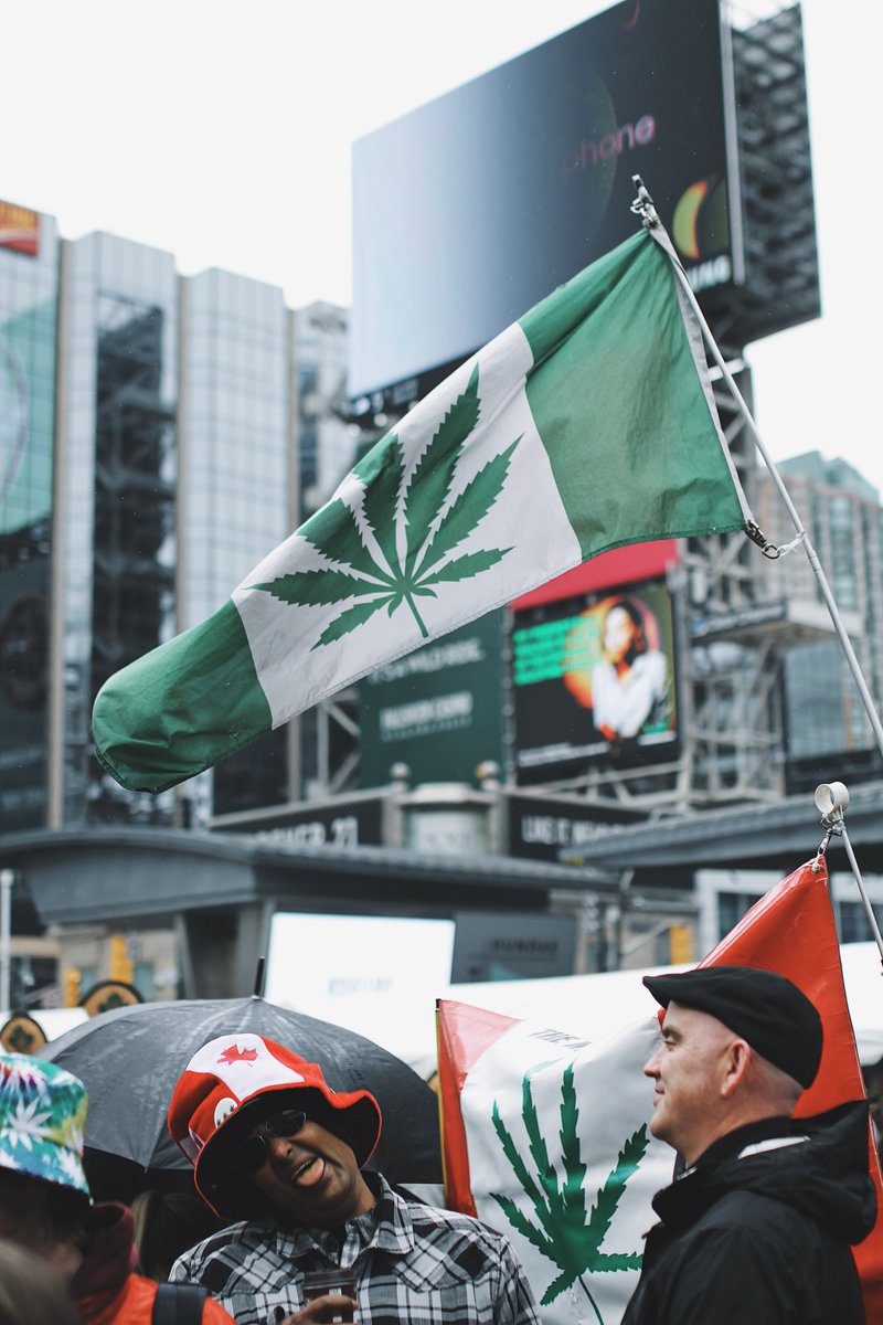 TJ's tweet photo. Visited Dundas Square during 420 for my first time yesterday. The (Maple) Leaf is flying high here in the north. @420Toronto #420to https://t.co/XkbPqfED38