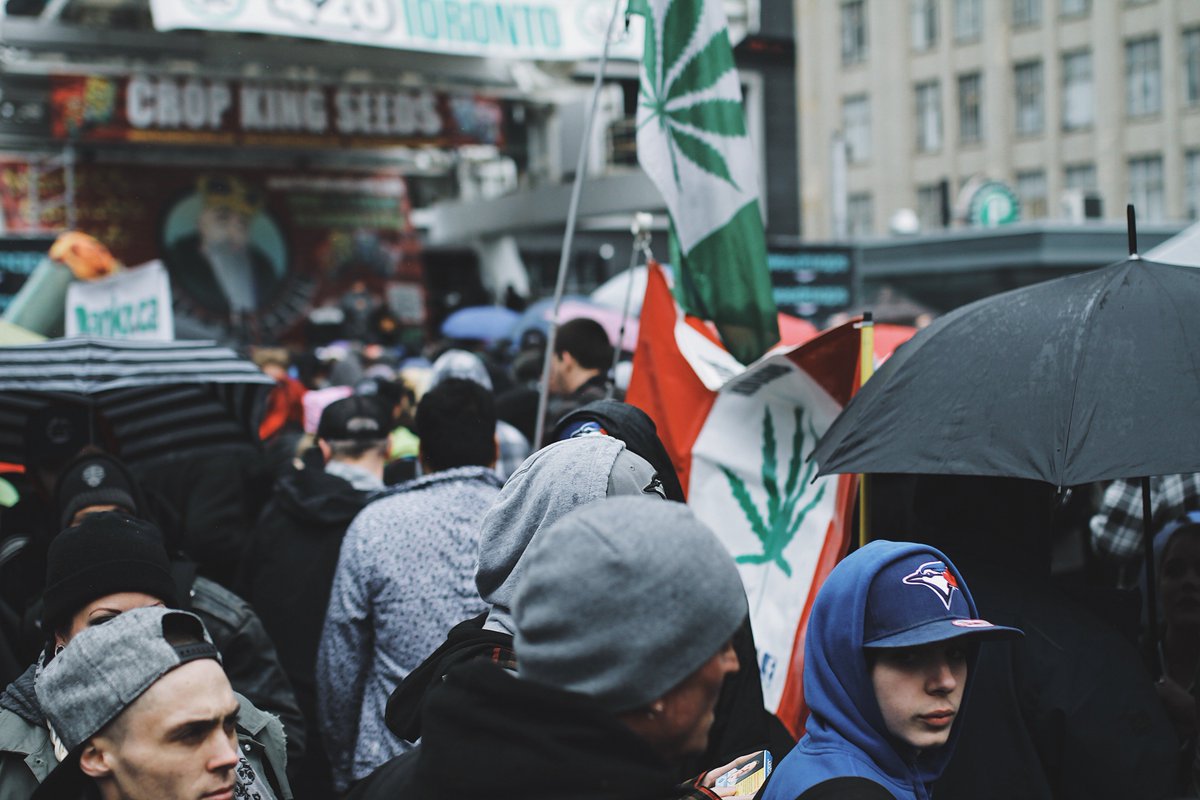 TJ's tweet photo. Visited Dundas Square during 420 for my first time yesterday. The (Maple) Leaf is flying high here in the north. @420Toronto #420to https://t.co/XkbPqfED38