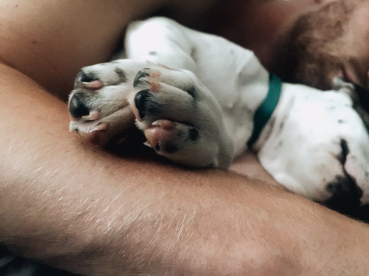 anna_quinning's tweet photo. Just a moment of appreciation for what I get to wake up to every morning.  #iphonecapture https://t.co/TW1Q65Ln2y