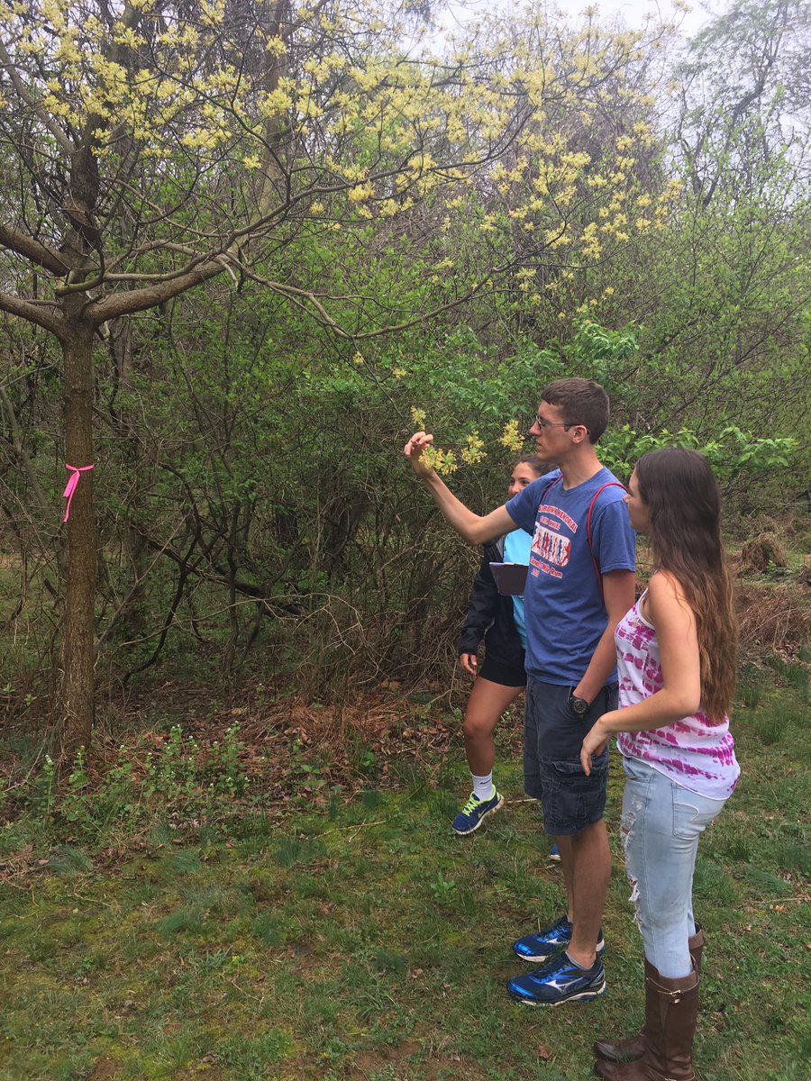 burkhrob's tweet photo. Envirothon at FOS. Wildlife &amp; forestry @Burkhart87 @wcpsmd @cody_pine https://t.co/qvHWE6MLZk