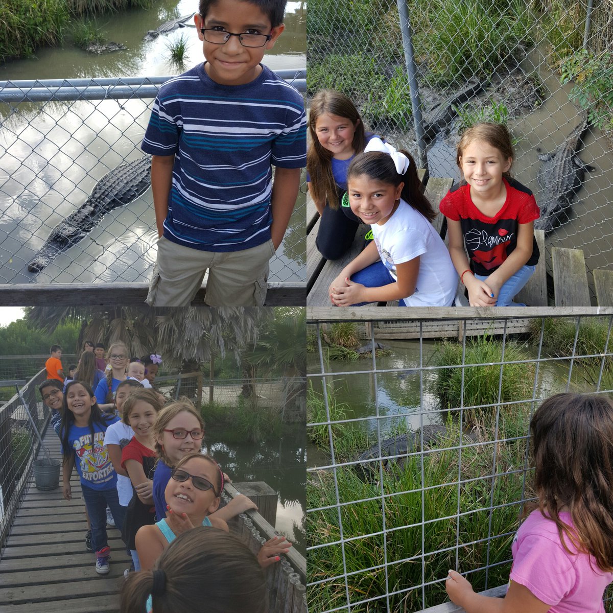 CandaceNewt1's tweet photo. Chilling with the Crocs!!! @RhondaWade5 @VelascoElem  @BrazosportISD https://t.co/HfKMQkWRLh