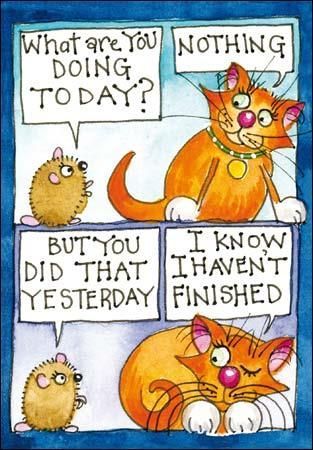 CardmixCo's tweet photo. Sounds like an excellent plan for the weekend #FridayFeeling

@chefandsue greeting cards https://t.co/PXZSr7Y7gw https://t.co/CsxjUtig9E