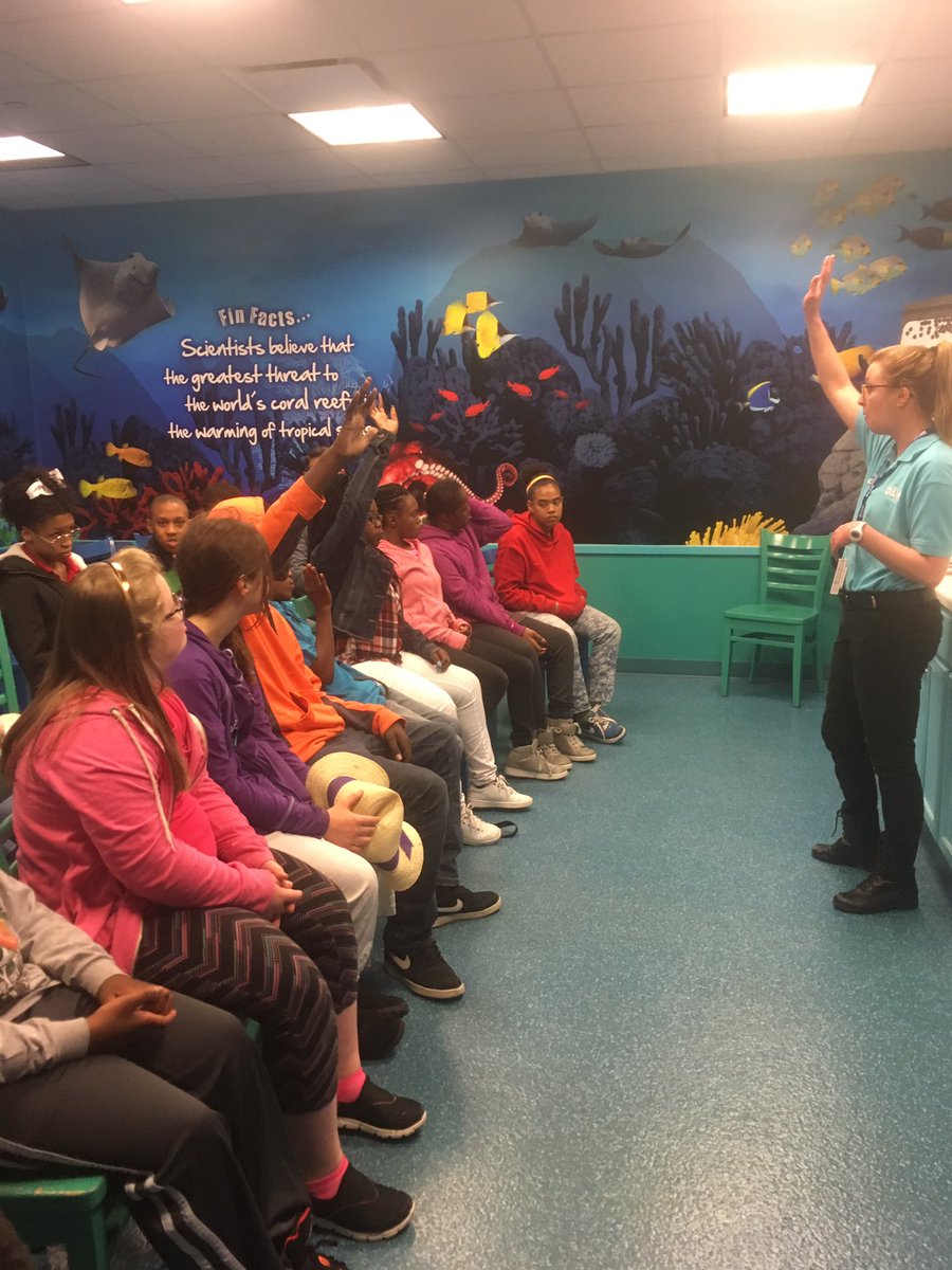 angelatchambers's tweet photo. CASTLE FUTURES field trip to #kcsealife #legolandkc @MelenaSue #CenterSD https://t.co/ix4q8CYYaP